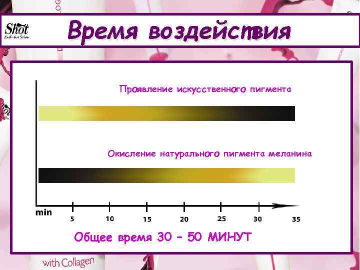 Время воздействия Проявление искус cтвенного пигмента Окисление натурального пигмента меланина Общее время 30 –