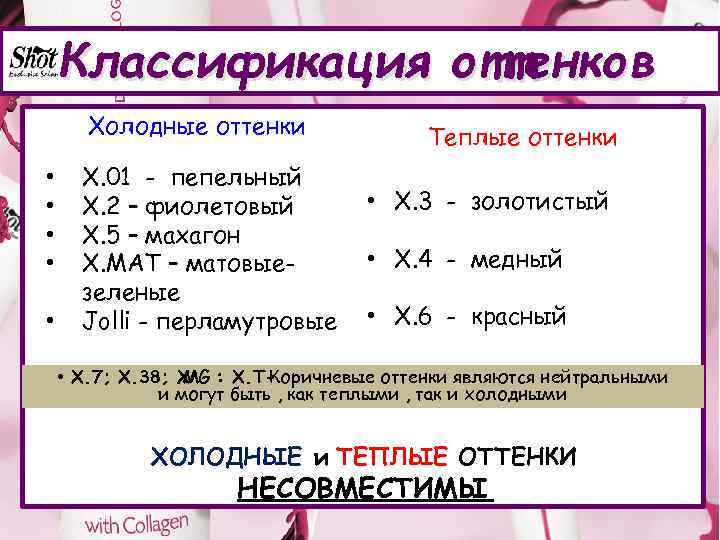 Классификация оттенков Холодные оттенки • • • Х. 01 - пепельный Х. 2 –