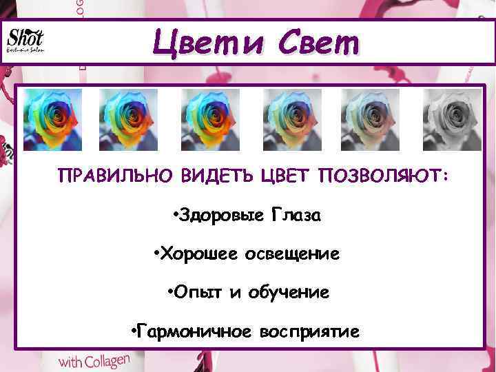 Цвет и Свет ПРАВИЛЬНО ВИДЕТЬ ЦВЕТ ПОЗВОЛЯЮТ: • Здоровые Глаза • Хорошее освещение •