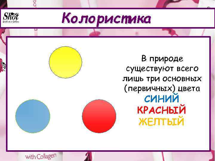 Колористика В природе существуют всего лишь три основных (первичных) цвета СИНИЙ КРАСНЫЙ ЖЕЛТЫЙ 