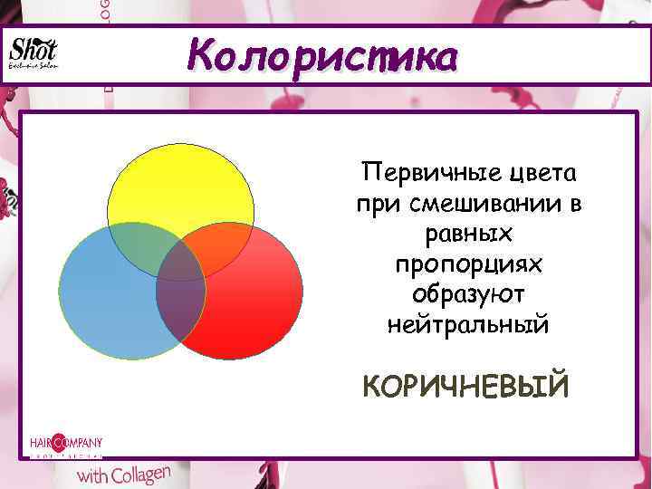 Нейтральным цветом является. Первичные и вторичные цвета в колористике. Третичные цвета в колористике. Составные вторичные цвета. Три первичных цвета в колористике.