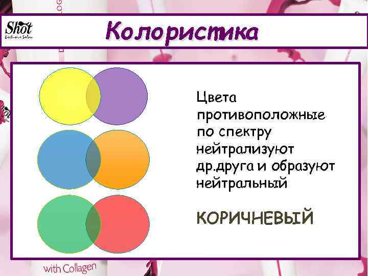 Колористика Цвета противоположные по спектру нейтрализуют др. друга и образуют нейтральный КОРИЧНЕВЫЙ 