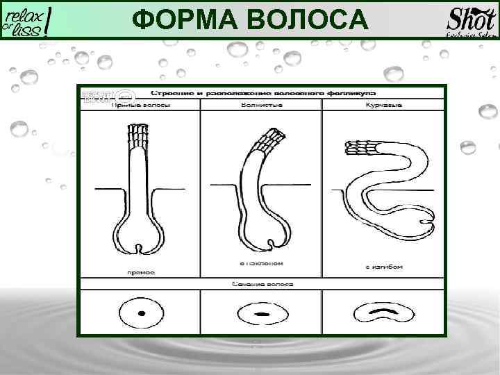 История химической завивки презентация