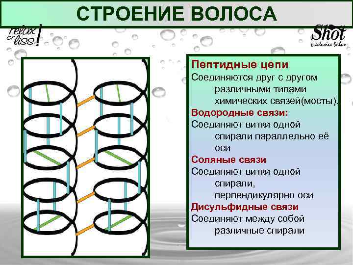 Соединяются друг с другом