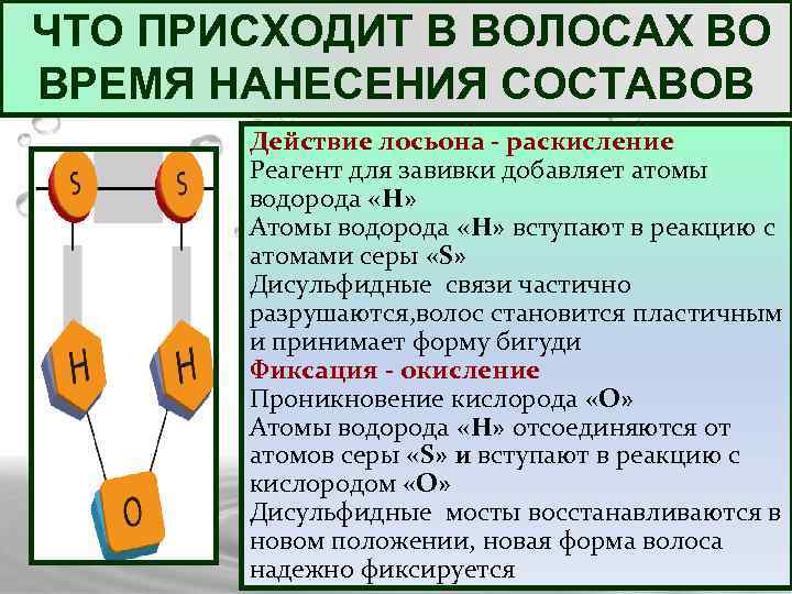 ЧТО ПРИСХОДИТ В ВОЛОСАХ ВО ВРЕМЯ НАНЕСЕНИЯ СОСТАВОВ Действие лосьона - раскисление Реагент для