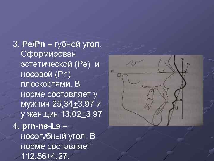 3. Pe/Pn – губной угол. Сформирован эстетической (Pe) и носовой (Pn) плоскостями. В норме