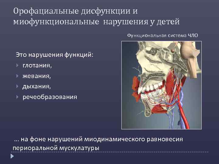 Орофациальные дисфункции и миофункциональные нарушения у детей Функциональная система ЧЛО Это нарушения функций: глотания,