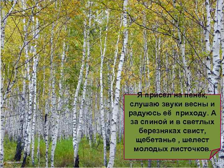 Я присел на пенёк, слушаю звуки весны и радуюсь её приходу. А за спиной