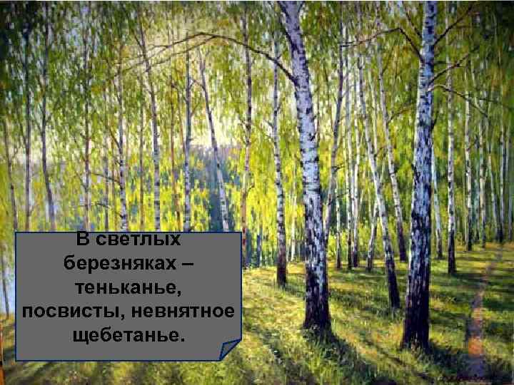 В светлых березняках – теньканье, посвисты, невнятное щебетанье. 