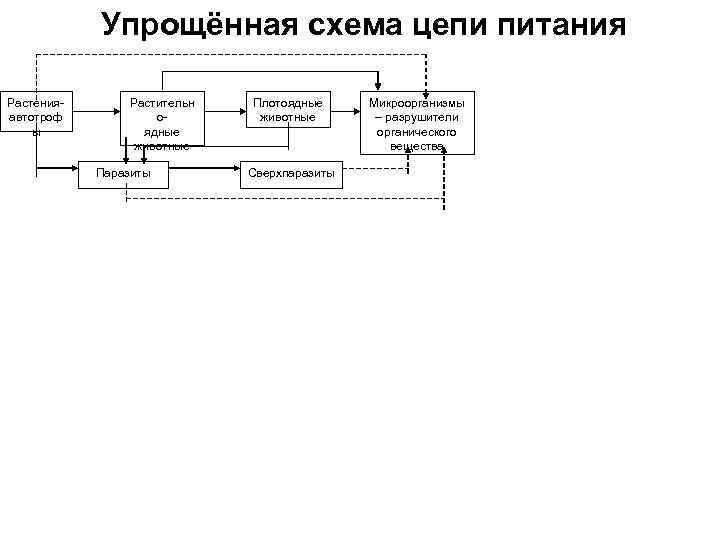 Упрощённая схема цепи питания Растенияавтотроф ы Растительн оядные животные Паразиты Плотоядные животные Сверхпаразиты Микроорганизмы