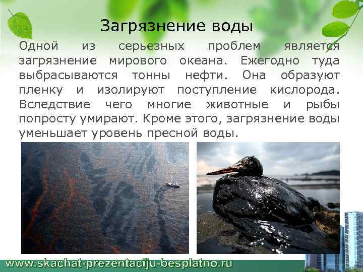 Загрязнение воды Одной из серьезных проблем является загрязнение мирового океана. Ежегодно туда выбрасываются тонны