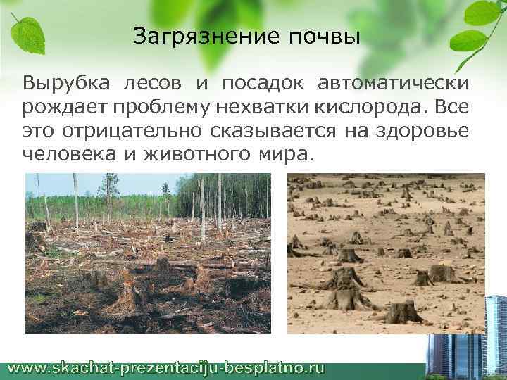 Загрязнение почвы Вырубка лесов и посадок автоматически рождает проблему нехватки кислорода. Все это отрицательно