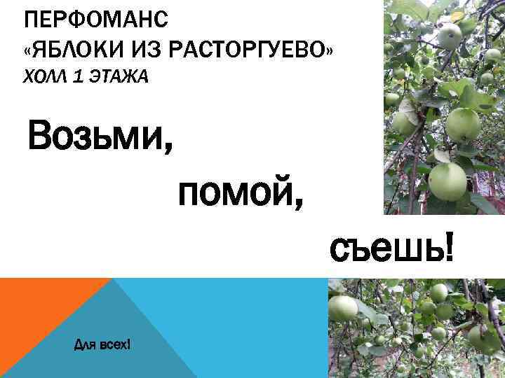 ПЕРФОМАНС «ЯБЛОКИ ИЗ РАСТОРГУЕВО» ХОЛЛ 1 ЭТАЖА Возьми, помой, съешь! Для всех! 