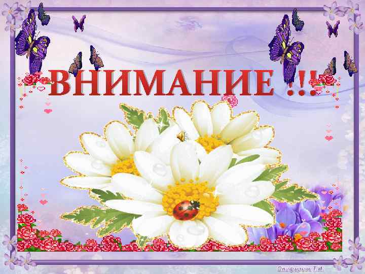 ВНИМАНИЕ !!! 