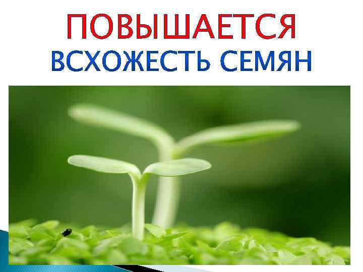 ПОВЫШАЕТСЯ 