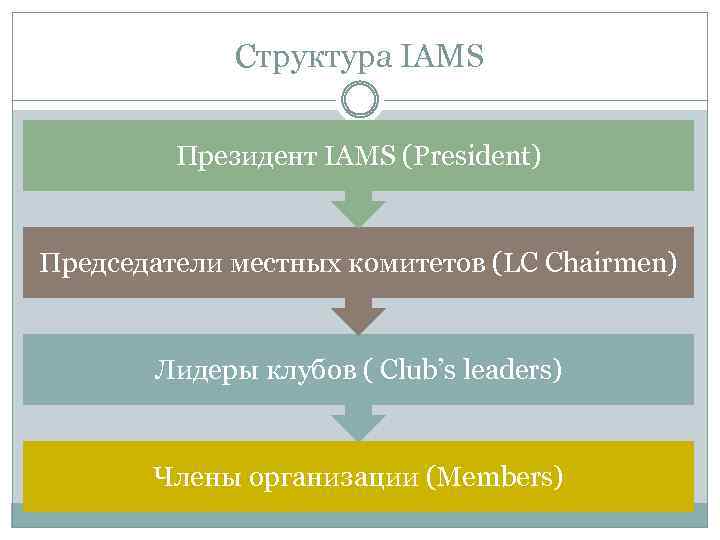 Структура IAMS Президент IAMS (President) Председатели местных комитетов (LC Chairmen) Лидеры клубов ( Club’s