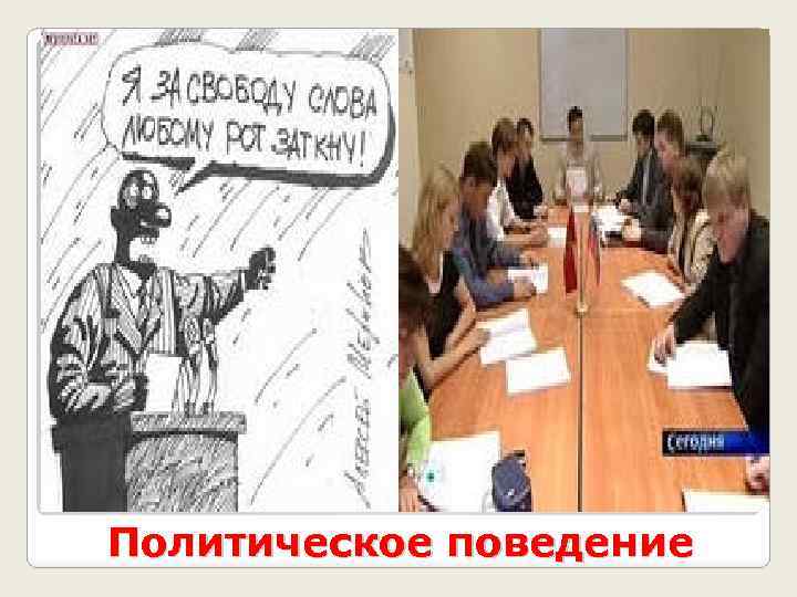 Политическое поведение 