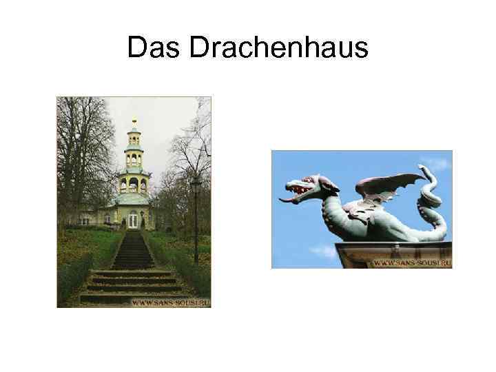 Das Drachenhaus 