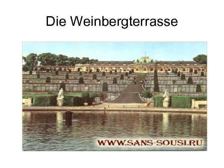 Die Weinbergterrasse 