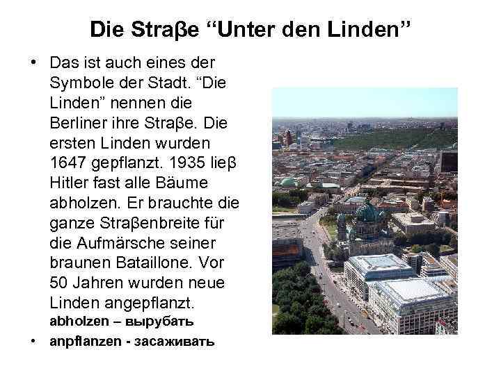 Die Straβe “Unter den Linden” • Das ist auch eines der Symbole der Stadt.