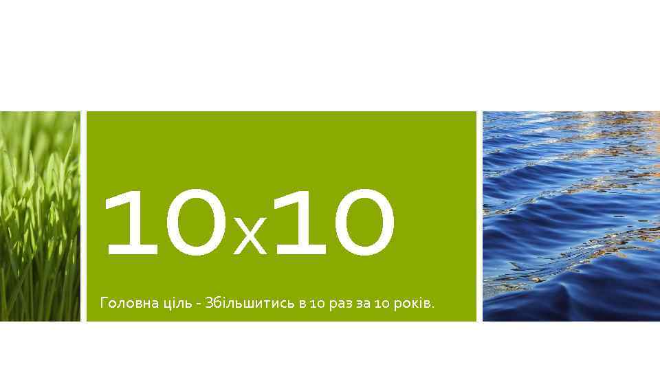 10 х10 Головна ціль - Збільшитись в 10 раз за 10 років. 
