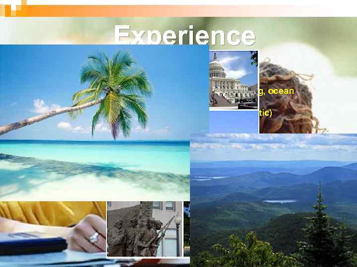 Experience New York Wax museum, Statue of Liberty, shopping, ocean The entire trip Broadway,