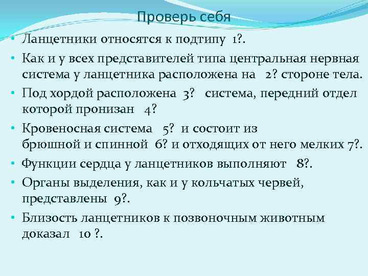 Проверь себя • Ланцетники относятся к подтипу 1? . • Как и у всех