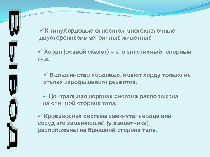 ü К типу. Хордовые относятся многоклеточные двустороннесимметричные животные ü Хорда (осевой скелет) – это