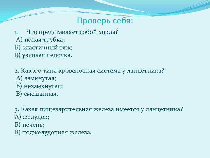 Проверь себя: 1. Что представляет собой хорда? А) полая трубка; Б) эластичный тяж; В)