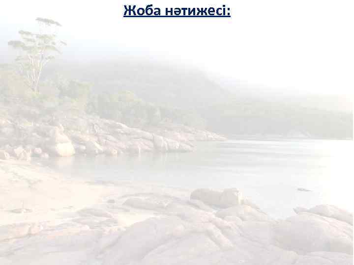 Жоба нәтижесі: 