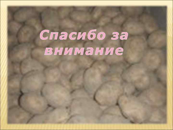 Спасибо за внимание 