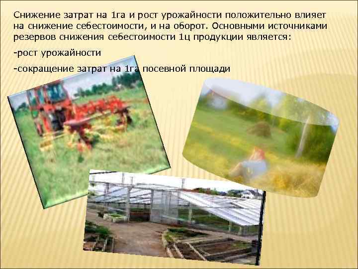 Снижение затрат на 1 га и рост урожайности положительно влияет на снижение себестоимости, и