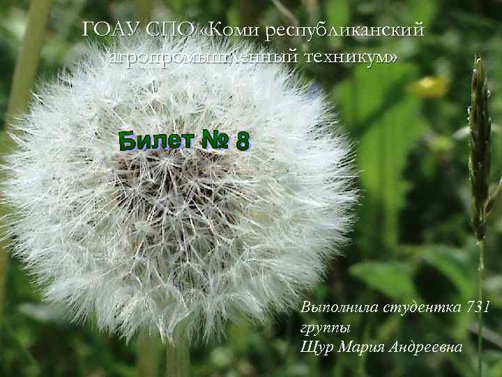 ГОАУ СПО «Коми республиканский агропромышленный техникум» Выполнила студентка 731 группы Щур Мария Андреевна 