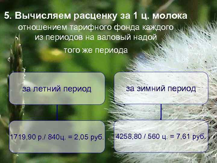 5. Вычисляем расценку за 1 ц. молока отношением тарифного фонда каждого из периодов на