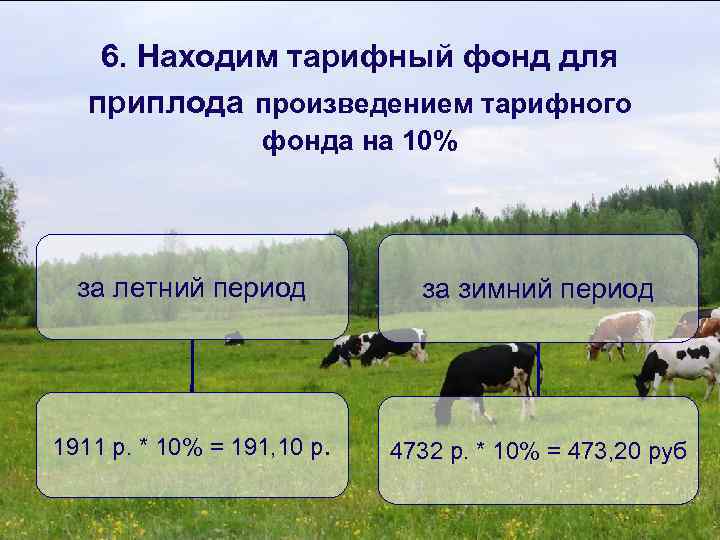 6. Находим тарифный фонд для приплода произведением тарифного фонда на 10% за летний период