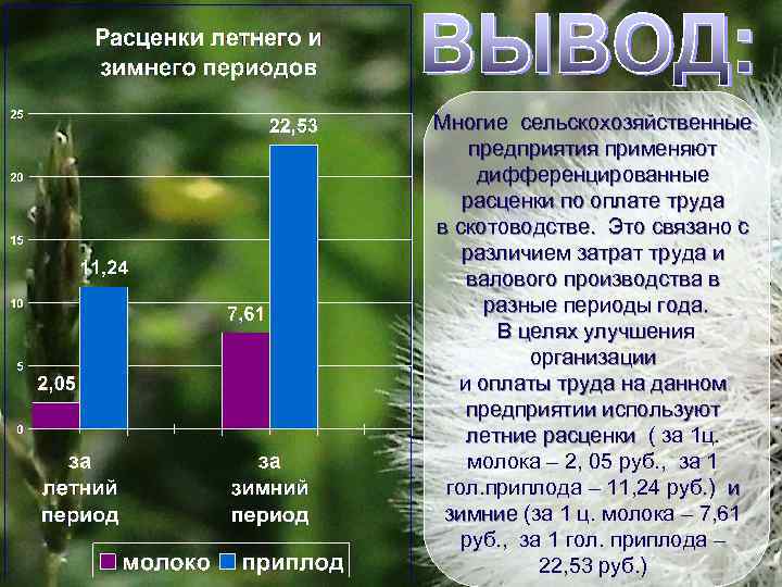 Многие сельскохозяйственные предприятия применяют дифференцированные расценки по оплате труда в скотоводстве. Это связано с
