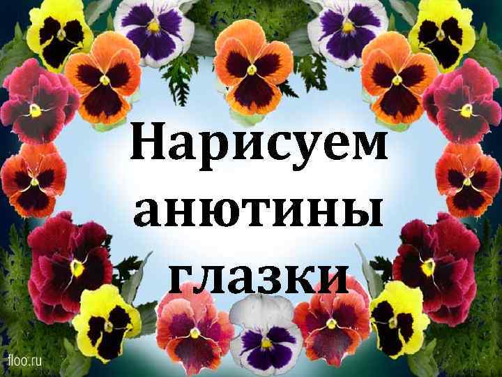 Нарисуем анютины глазки 