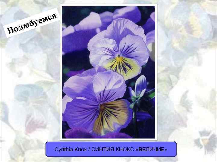 мся буе олю П Cynthia Knox / СИНТИЯ КНОКС «ВЕЛИЧИЕ» 