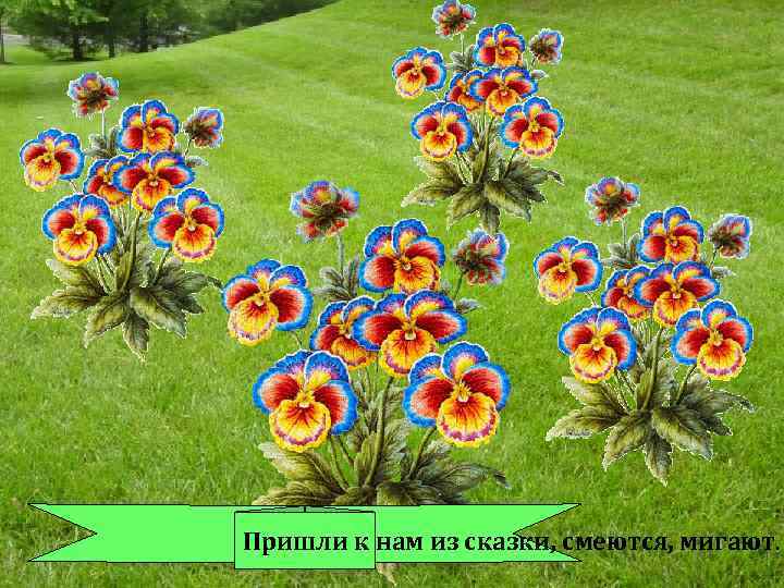 Пришли к нам из сказки, смеются, мигают. 