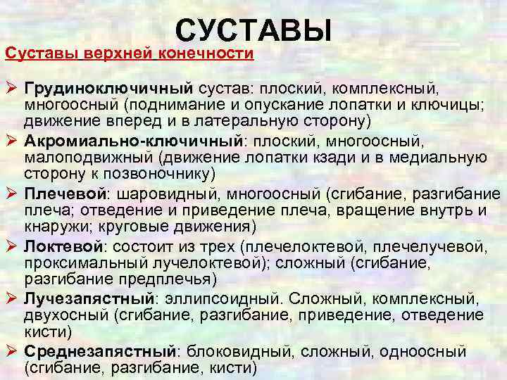 СУСТАВЫ Суставы верхней конечности Ø Грудиноключичный сустав: плоский, комплексный, многоосный (поднимание и опускание лопатки