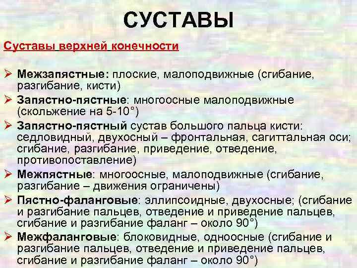 СУСТАВЫ Суставы верхней конечности Ø Межзапястные: плоские, малоподвижные (сгибание, разгибание, кисти) Ø Запястно-пястные: многоосные