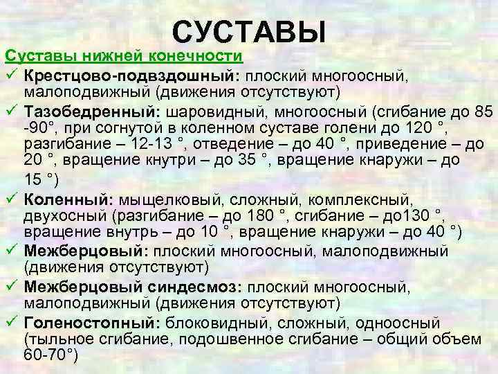 СУСТАВЫ Суставы нижней конечности ü Крестцово-подвздошный: плоский многоосный, малоподвижный (движения отсутствуют) ü Тазобедренный: шаровидный,