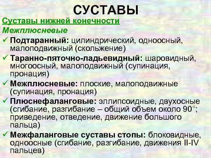 СУСТАВЫ Суставы нижней конечности Межплюсневые ü Подтаранный: цилиндрический, одноосный, малоподвижный (скольжение) ü Таранно-пяточно-ладьевидный: шаровидный,