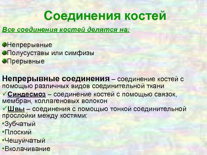 Соединения костей Все соединения костей делятся на: Непрерывные Полусуставы или симфизы Прерывные Непрерывные соединения