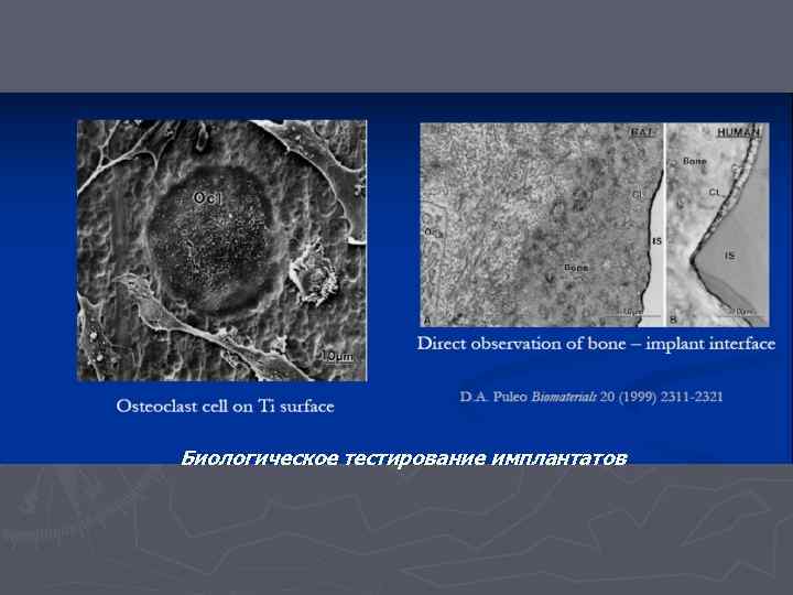Биологическое тестирование имплантатов 