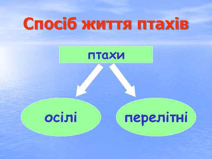 Спосіб життя птахів птахи осілі перелітні 