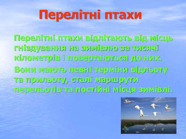 Перелітні птахи відлітають від місць гніздування на зимівлю за тисячі кілометрів і повертаються до