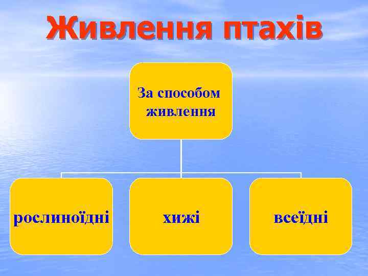 Живлення птахів За способом живлення рослиноїдні хижі всеїдні 