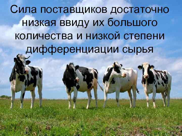 Сила поставщиков достаточно низкая ввиду их большого количества и низкой степени дифференциации сырья 