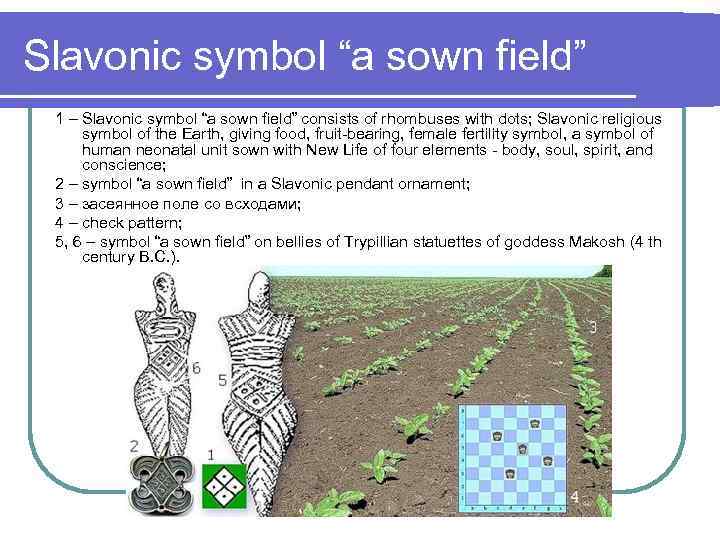 Slavonic symbol “a sown field” 1 – Slavonic symbol “a sown field” consists of